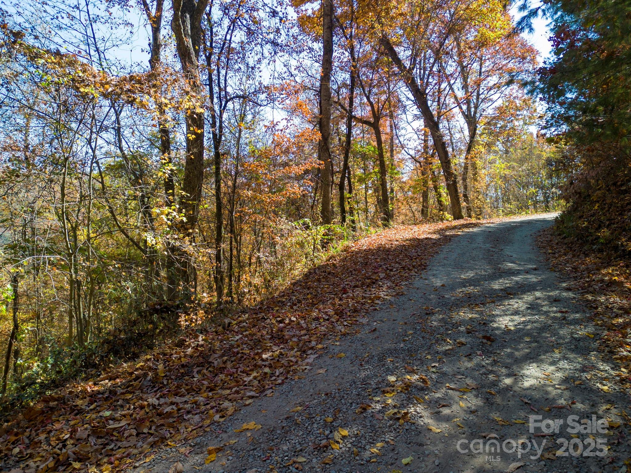0 Vance Gap Road Asheville, NC 28805 - Photo 14 of 17