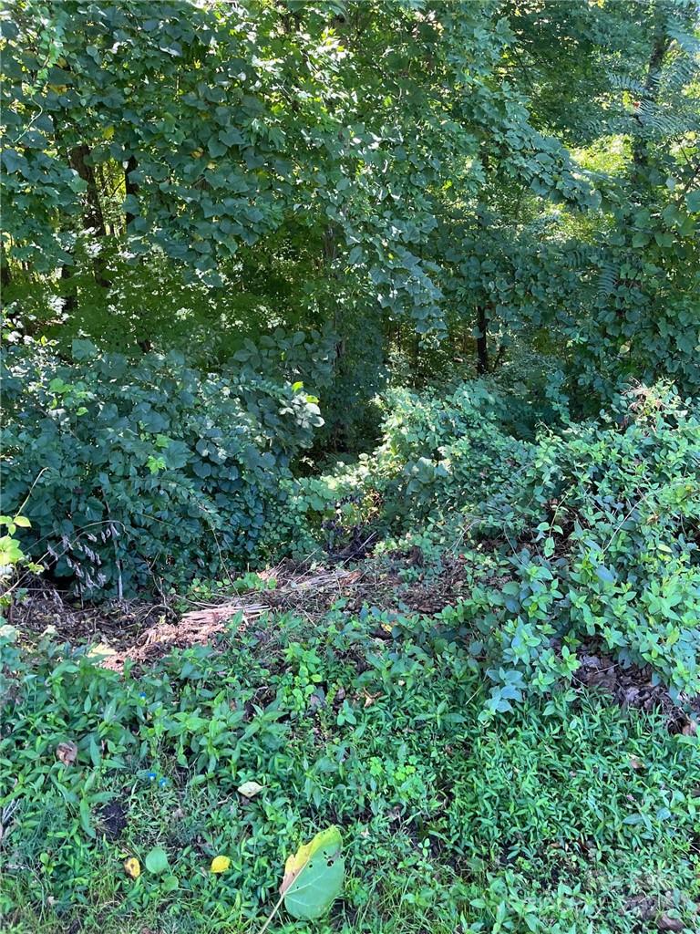 0 Vance Gap Road Asheville, NC 28805 - Photo 15 of 17