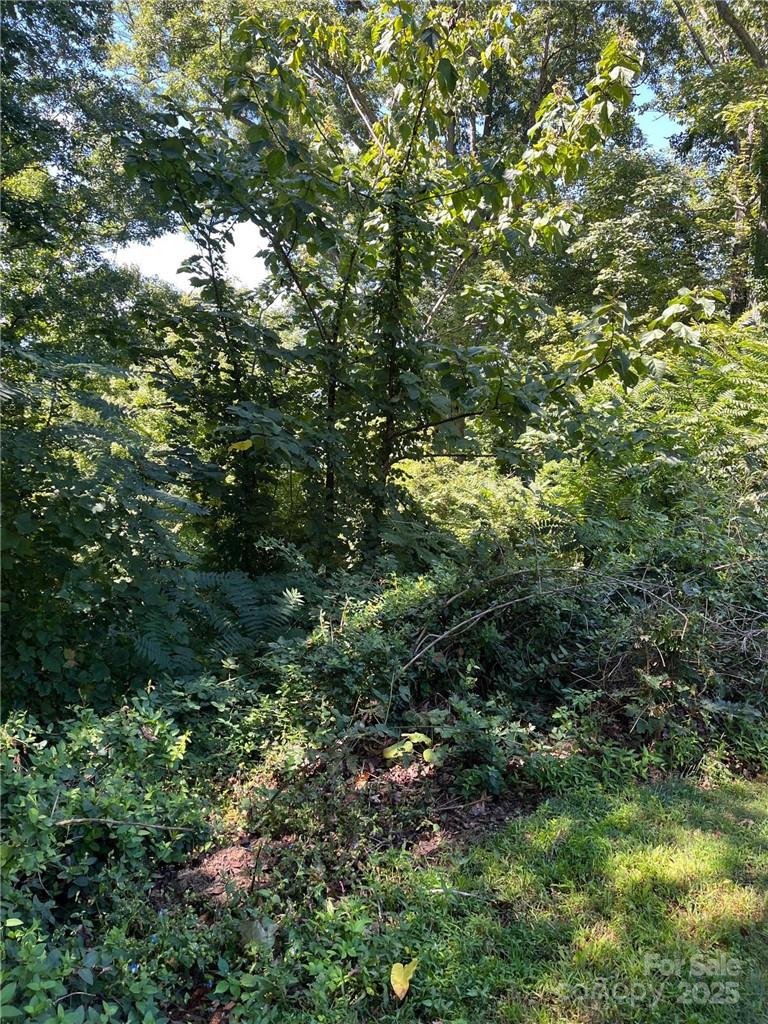 0 Vance Gap Road Asheville, NC 28805 - Photo 16 of 17