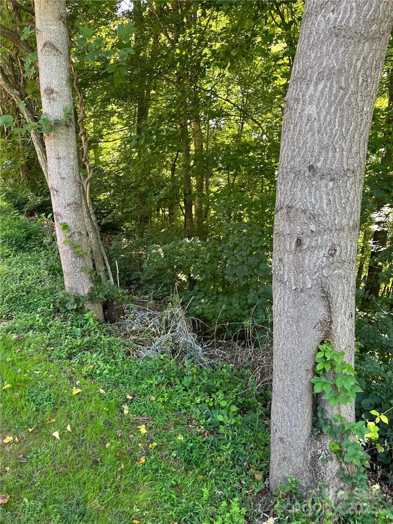 0 Vance Gap Road Asheville, NC 28805 - Photo 17 of 17