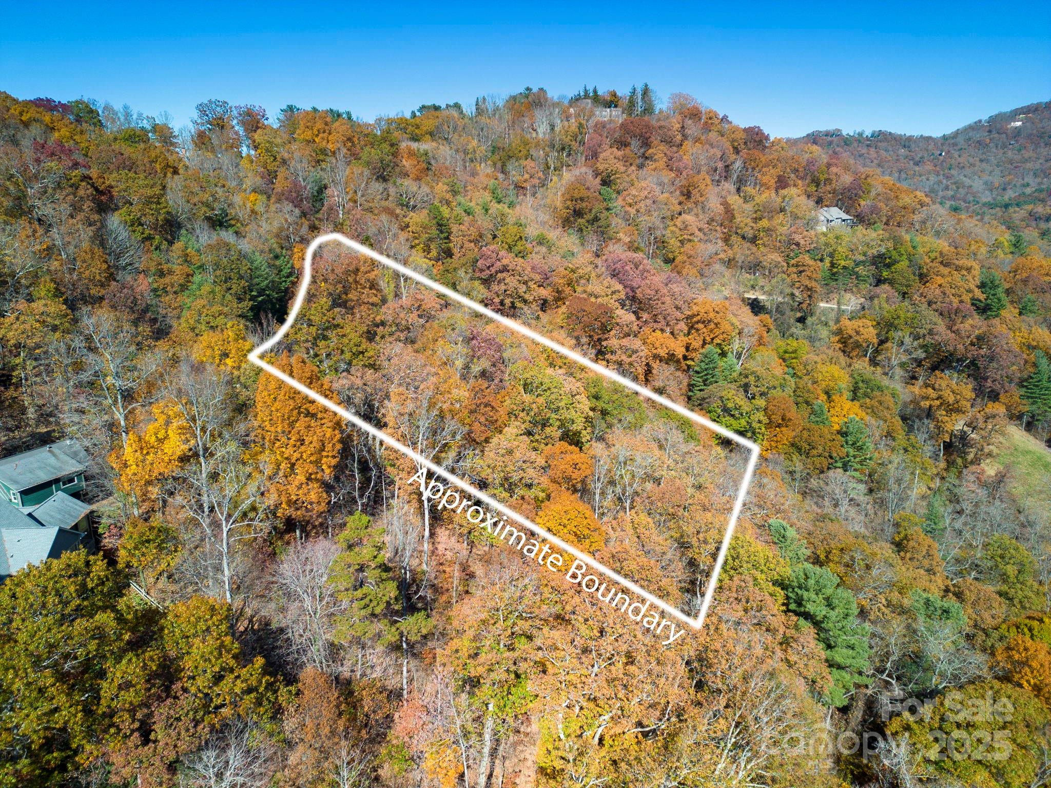 0 Vance Gap Road Asheville, NC 28805 - Photo 9 of 17