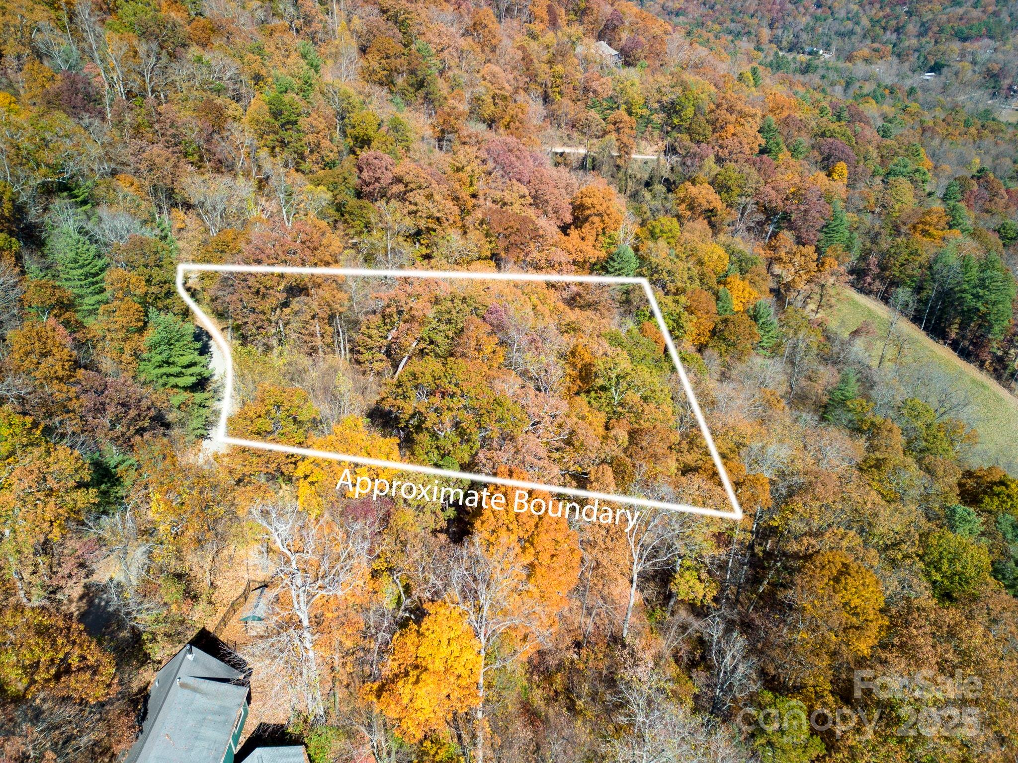 0 Vance Gap Road Asheville, NC 28805 - Photo 10 of 17