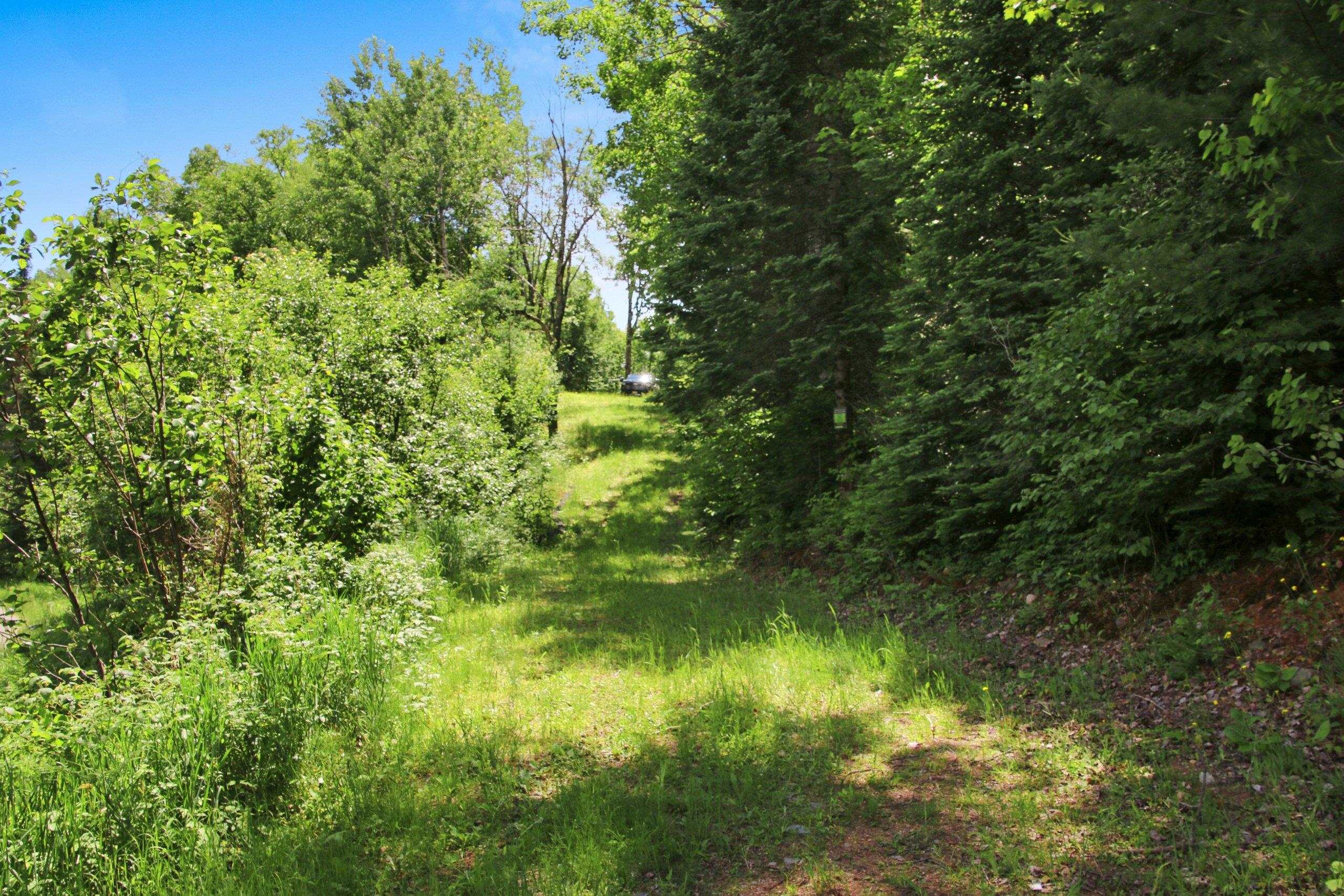 Bogus Road Deerbrook, WI 54424 - Photo 51 of 78