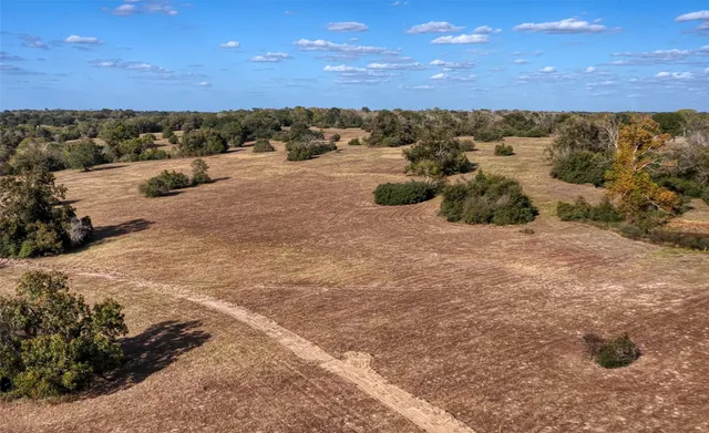 a view of a dry yard with wooden fence