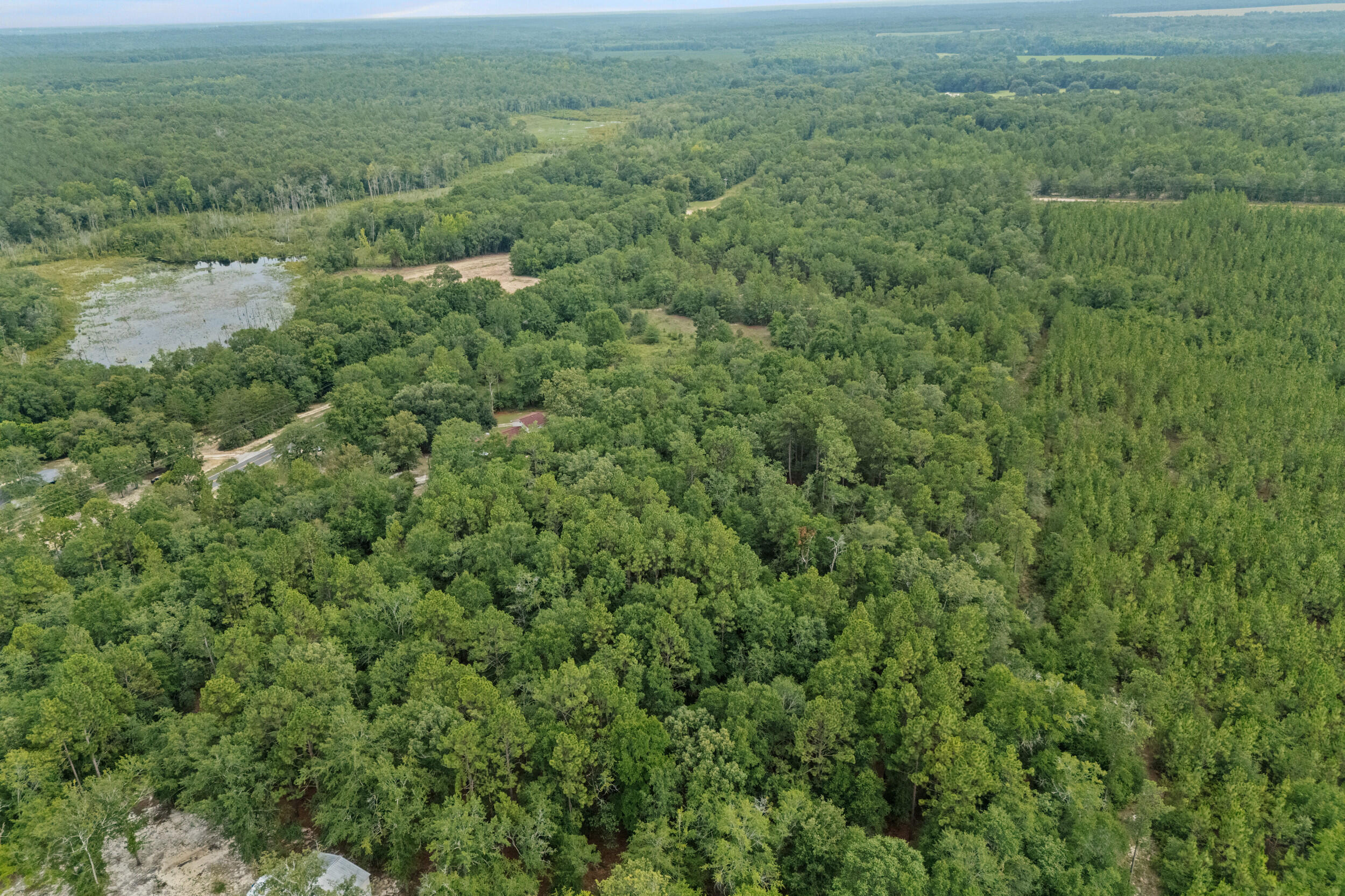 664 South Dixie Road Wagener, SC 29164 - Photo 56 of 60 Gallery Image 56