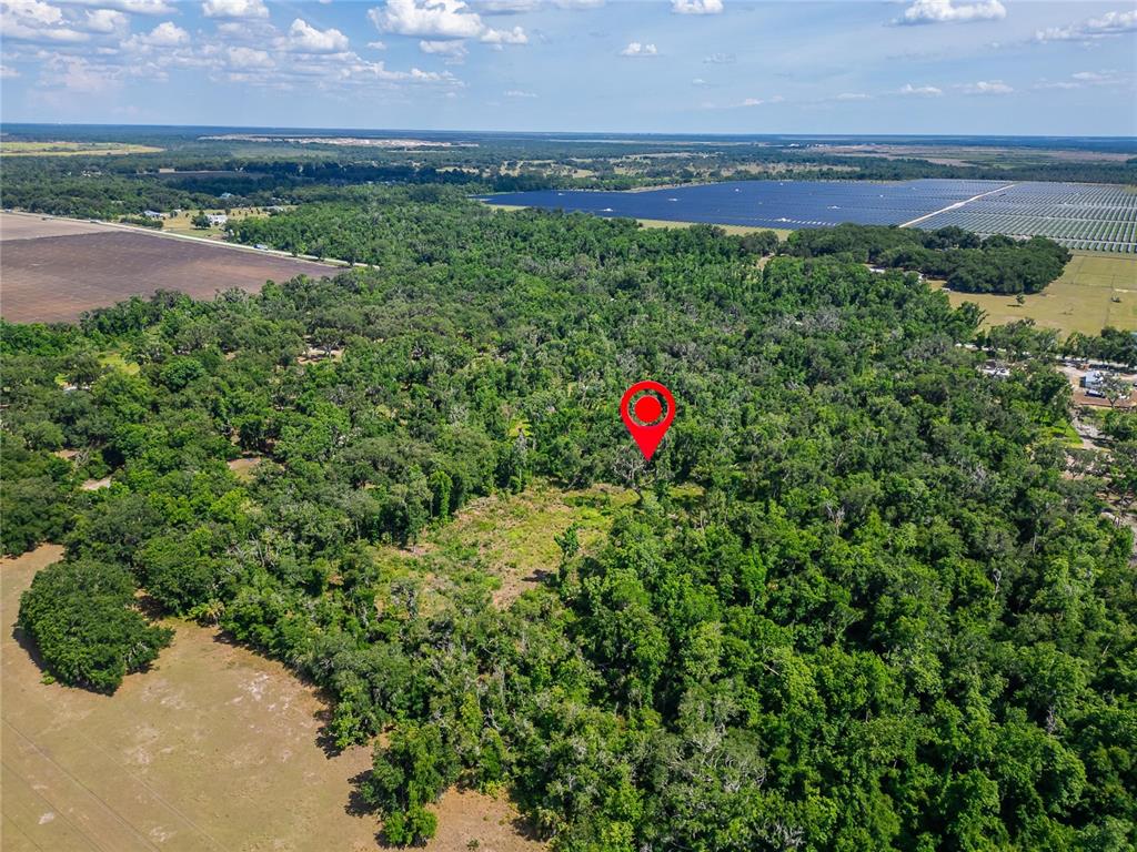 672 Highway Lithia Lithia, FL 33547 - Photo 11 of 24