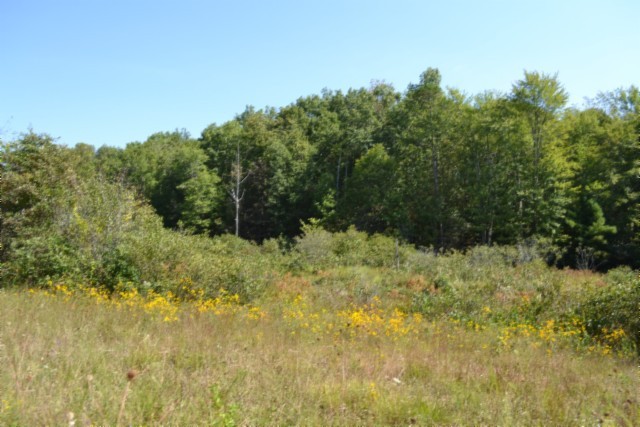 0 Taylor Place Road Jamestown, TN 38556 - Photo 15 of 95