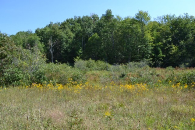 0 Taylor Place Road Jamestown, TN 38556 - Photo 17 of 95