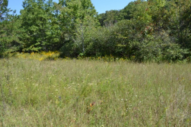 0 Taylor Place Road Jamestown, TN 38556 - Photo 18 of 95 a view of a lake view