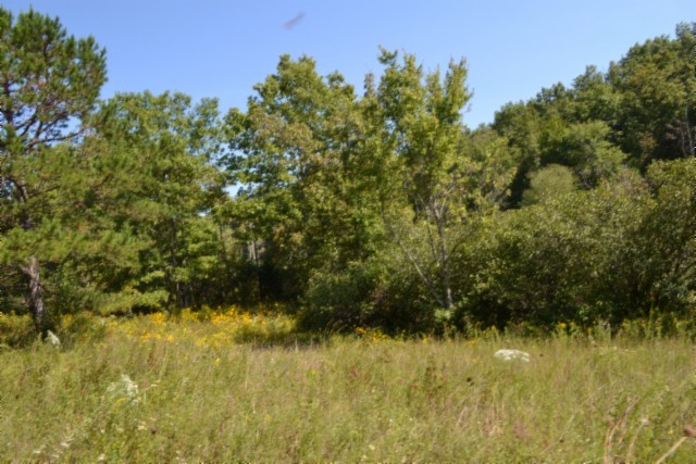 0 Taylor Place Road Jamestown, TN 38556 - Photo 20 of 95