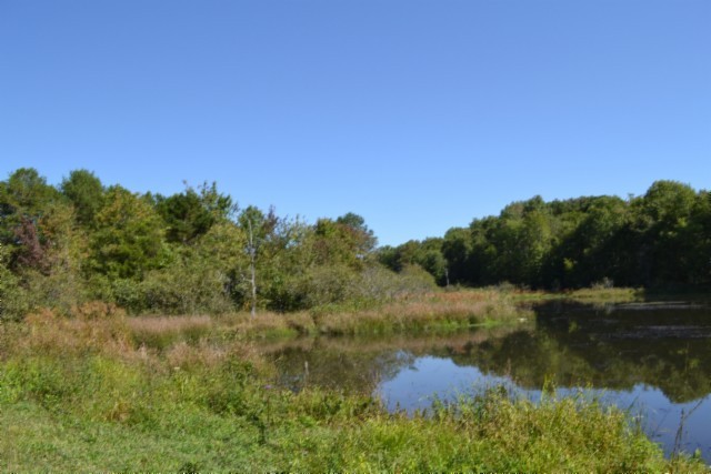 0 Taylor Place Road Jamestown, TN 38556 - Photo 26 of 95 a view of a lake with a yard and mountain in the back