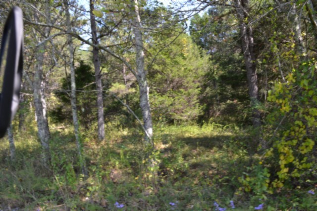 0 Taylor Place Road Jamestown, TN 38556 - Photo 29 of 95