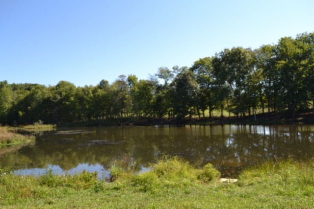 0 Taylor Place Road Jamestown, TN 38556 - Photo 3 of 95 a view of lake