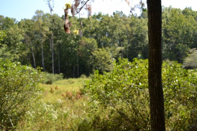 0 Taylor Place Road Jamestown, TN 38556 - Photo 38 of 95