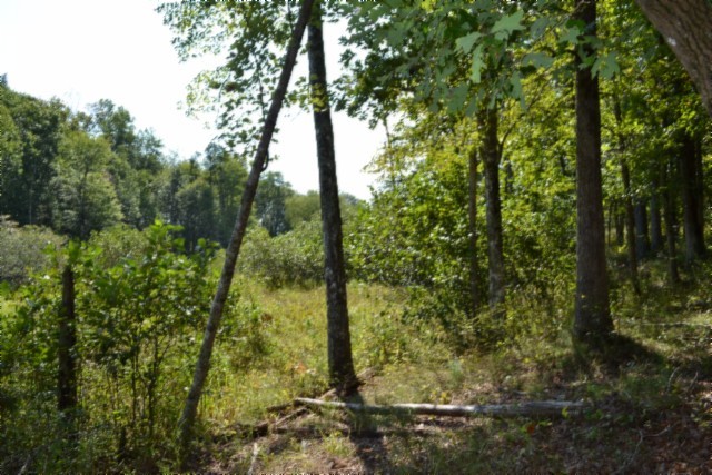 0 Taylor Place Road Jamestown, TN 38556 - Photo 45 of 95