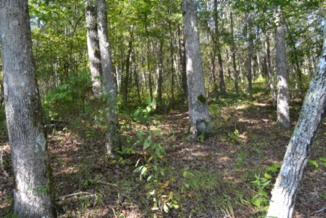 a view of a sign board