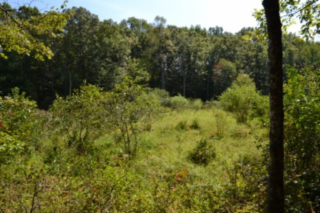 0 Taylor Place Road Jamestown, TN 38556 - Photo 50 of 95