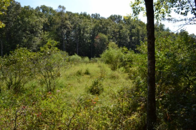 0 Taylor Place Road Jamestown, TN 38556 - Photo 53 of 95