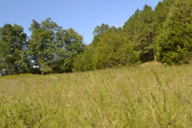 $425,000 | 0 Taylor Place Road, Jamestown, TN 38556