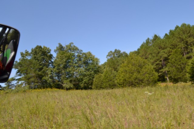 0 Taylor Place Road Jamestown, TN 38556 - Photo 55 of 95