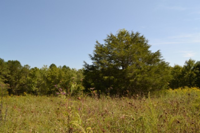 0 Taylor Place Road Jamestown, TN 38556 - Photo 62 of 95