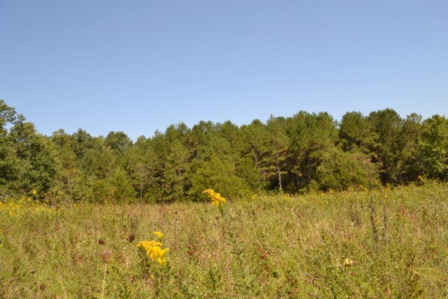 0 Taylor Place Road Jamestown, TN 38556 - Photo 64 of 95 a view of a lake with a house in the background