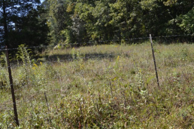 0 Taylor Place Road Jamestown, TN 38556 - Photo 67 of 95