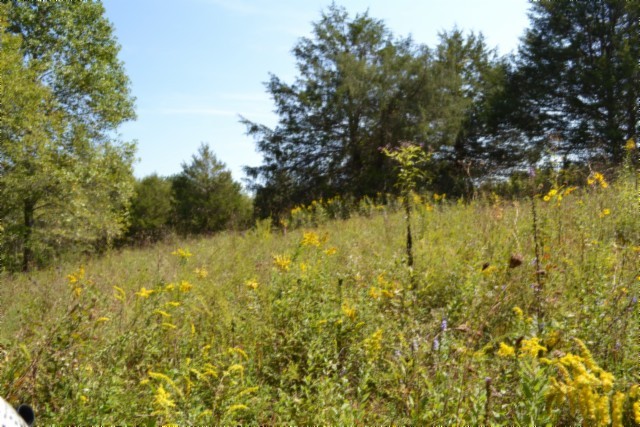 0 Taylor Place Road Jamestown, TN 38556 - Photo 70 of 95 a view of lake