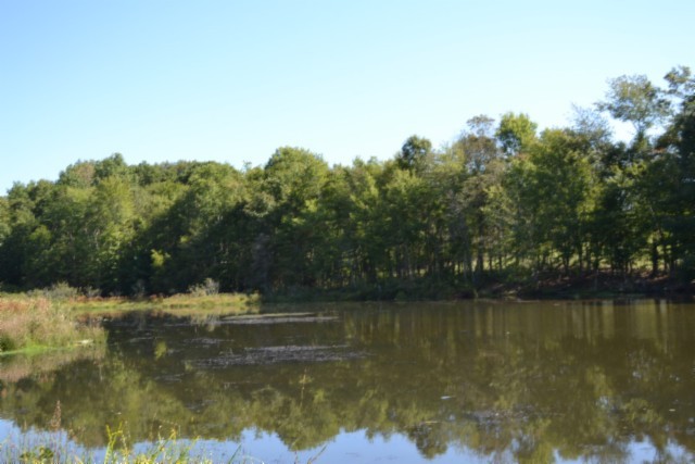 0 Taylor Place Road Jamestown, TN 38556 - Photo 7 of 95