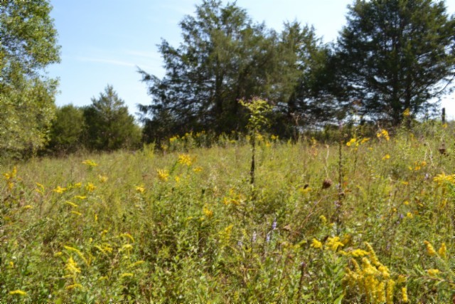 0 Taylor Place Road Jamestown, TN 38556 - Photo 71 of 95