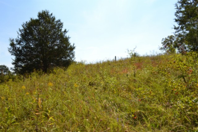 0 Taylor Place Road Jamestown, TN 38556 - Photo 72 of 95