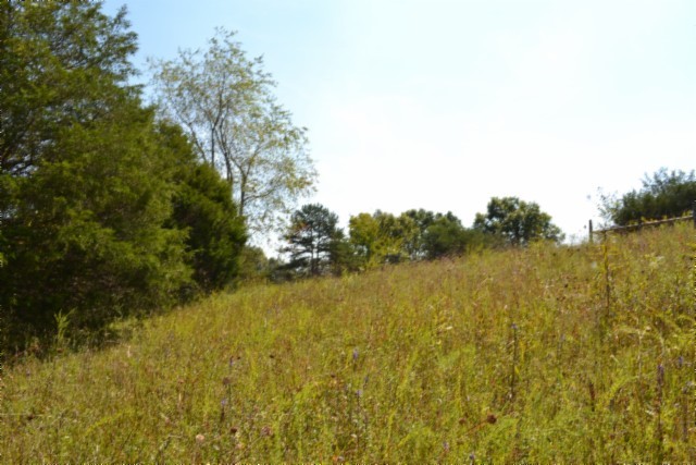 0 Taylor Place Road Jamestown, TN 38556 - Photo 73 of 95 a view of lake and mountain