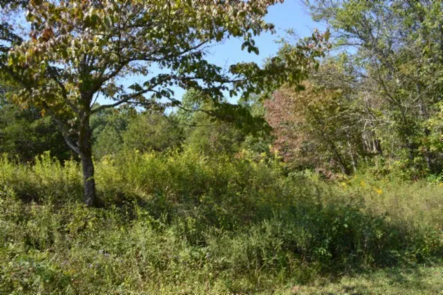 $425,000 | 0 Taylor Place Road, Jamestown, TN 38556