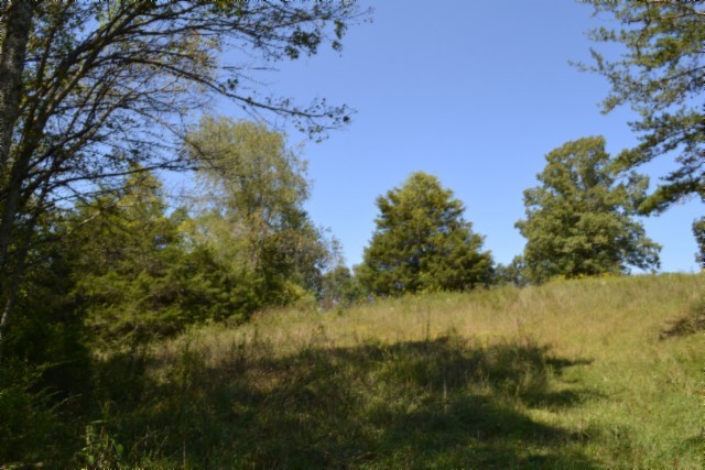 0 Taylor Place Road Jamestown, TN 38556 - Photo 87 of 95