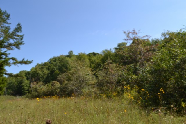 0 Taylor Place Road Jamestown, TN 38556 - Photo 9 of 95 a view of a lake with houses in the background
