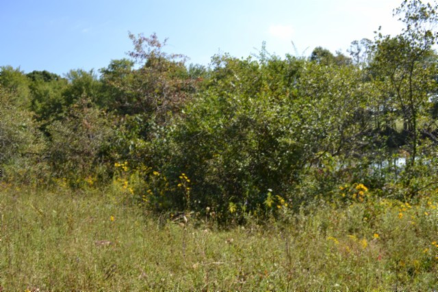 0 Taylor Place Road Jamestown, TN 38556 - Photo 10 of 95