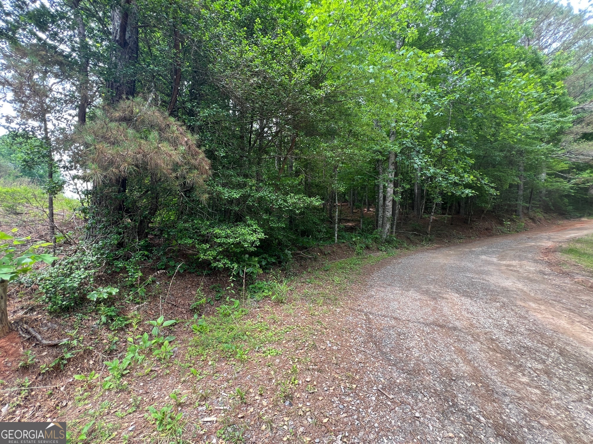 0 Mr Bert Road Hiawassee, GA 30546 - Photo 17 of 22