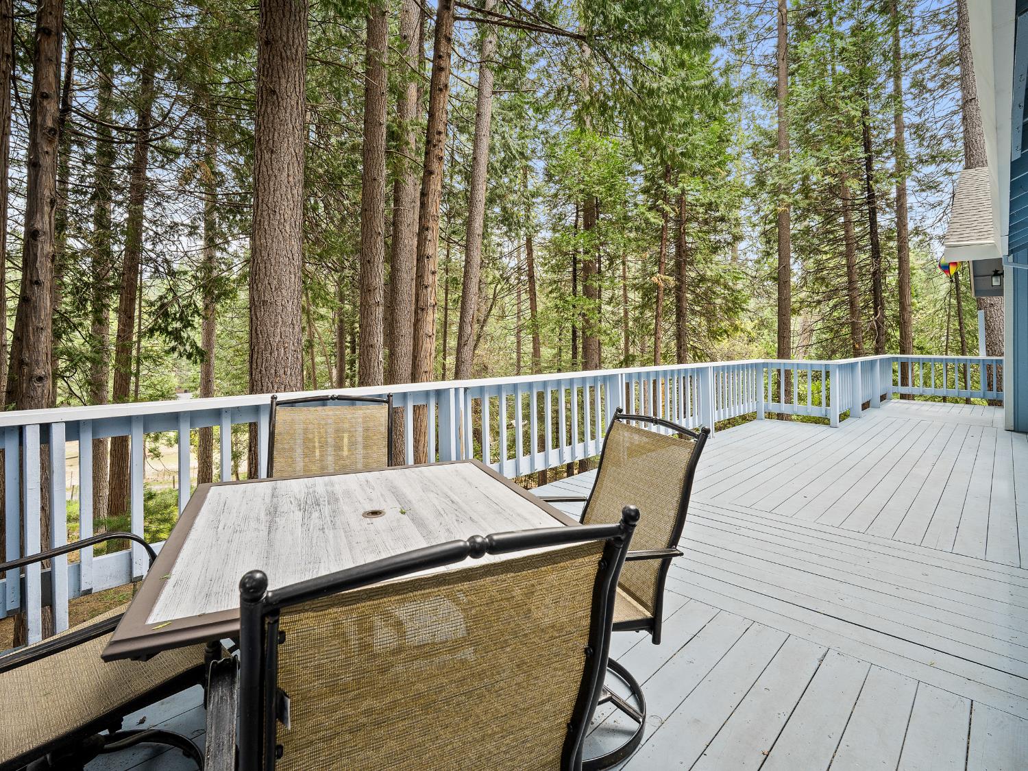5123 Rainbow Trail Pollock Pines, CA 95726 - Photo 20 of 28