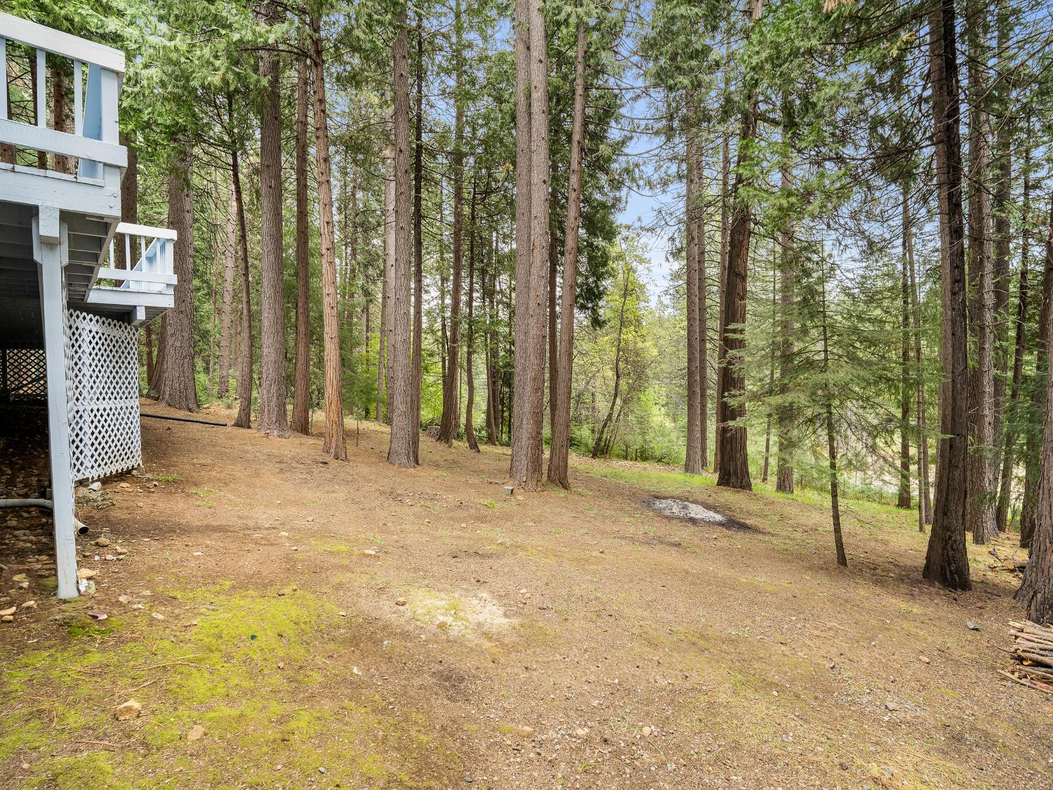 5123 Rainbow Trail Pollock Pines, CA 95726 - Photo 21 of 28