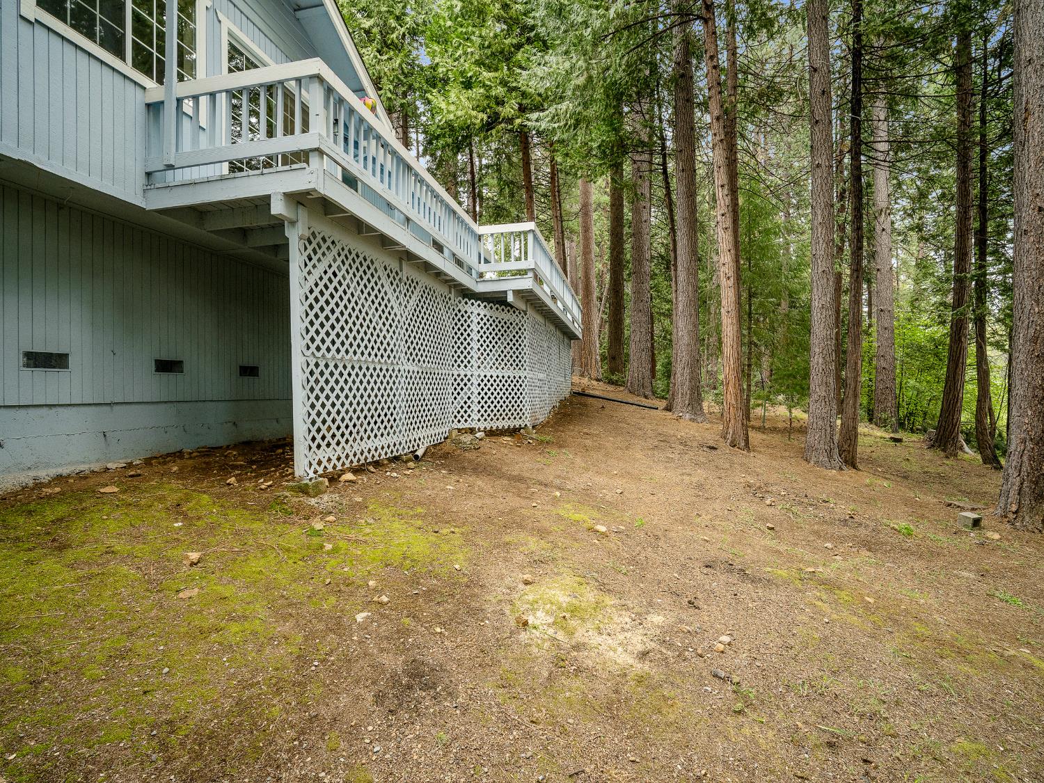 5123 Rainbow Trail Pollock Pines, CA 95726 - Photo 22 of 28