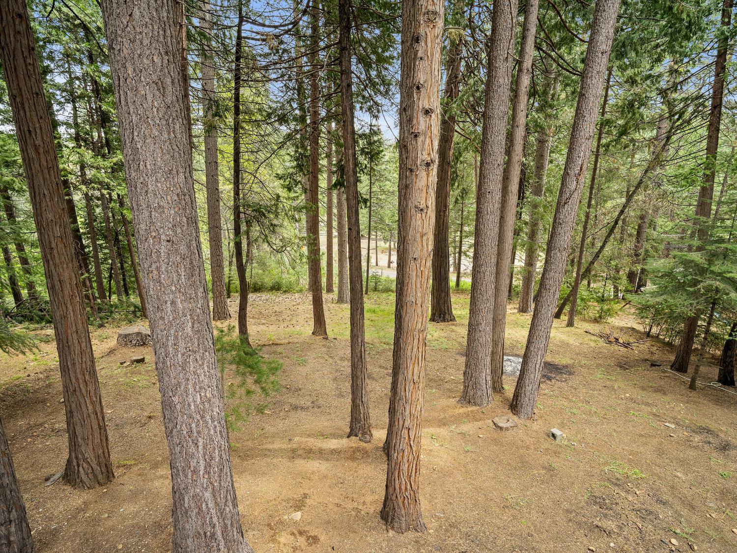 5123 Rainbow Trail Pollock Pines, CA 95726 - Photo 23 of 28