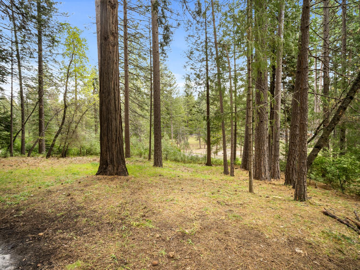 5123 Rainbow Trail Pollock Pines, CA 95726 - Photo 24 of 28