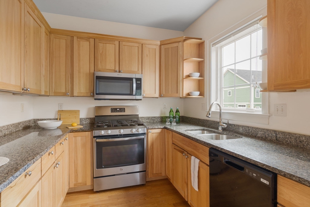 17 Snowden Way Boston, MA 02124 - Photo 11 of 30