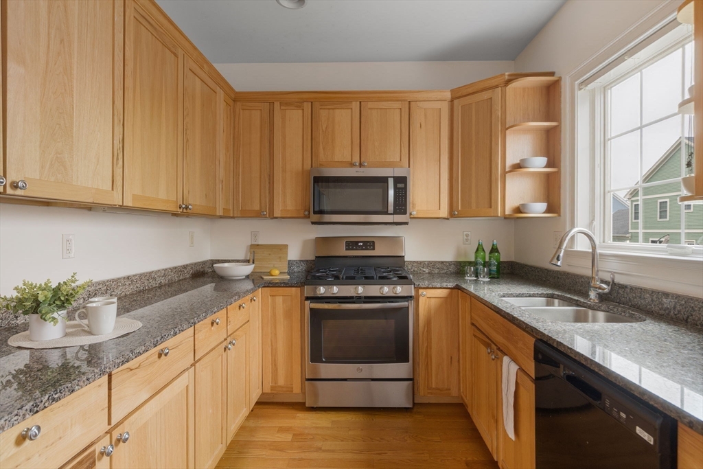 17 Snowden Way Boston, MA 02124 - Photo 10 of 30