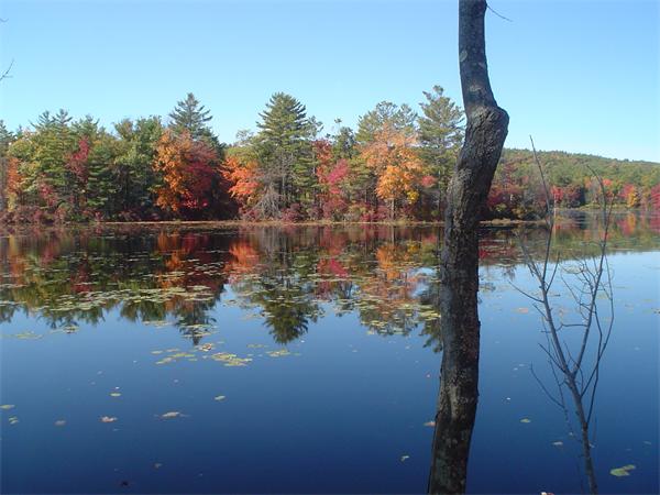5 Lucas Road Sterling, MA 01564 - Photo 1 of 30