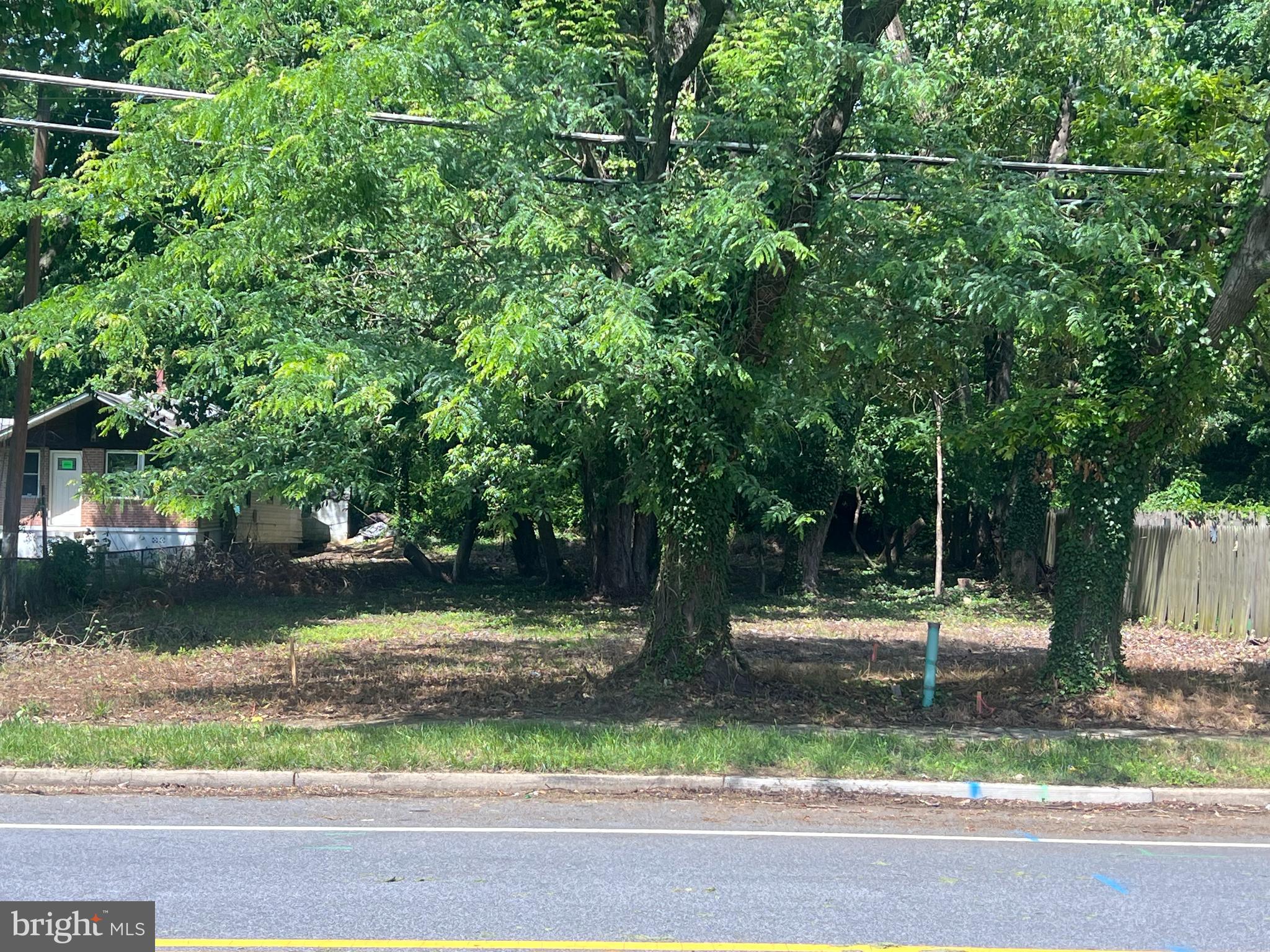 4810 Leroy Gorham Drive Capitol Heights, MD 20743 - Photo 1 of 15 a view of a yard with a tree