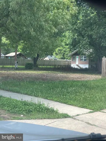 a view of a yard with plants and large trees