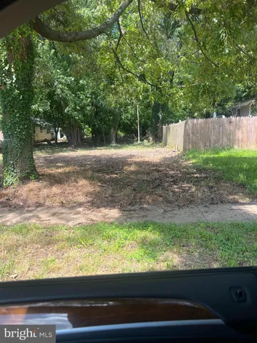 a view of a yard with a tree
