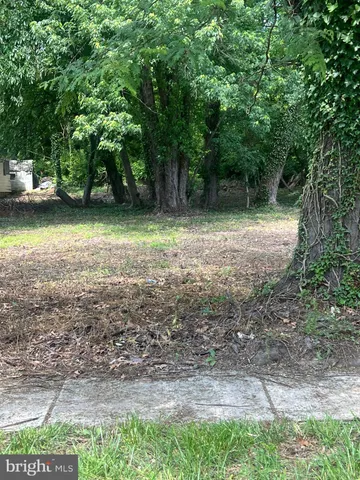 a view of backyard with green space