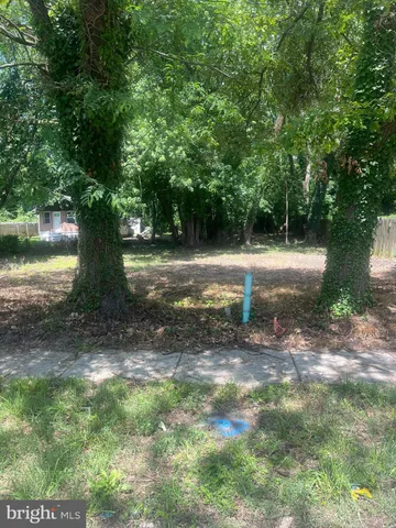 a view of a yard with a tree